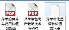 后綴“.CAJ”改為“.PDF”