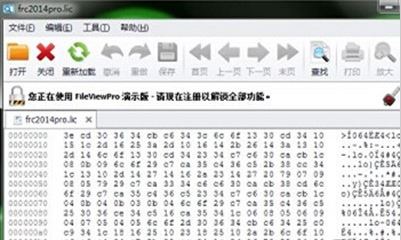 lic文件怎么打開？lic格式文件打開亂碼的解決方法