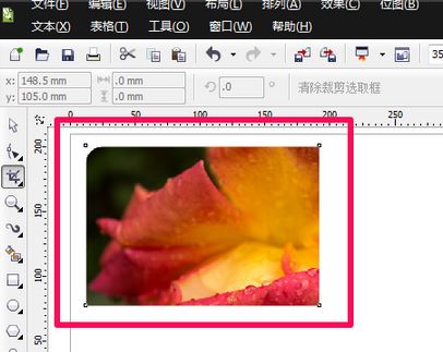 cdr裁剪工具怎么用？cdr軟件中裁剪工具使用方法