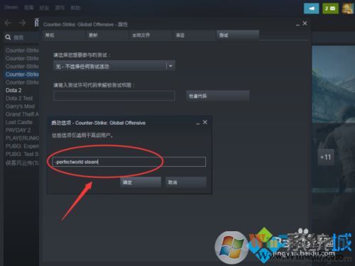 csgo優(yōu)化啟動(dòng)項(xiàng)讓游戲更流暢方法