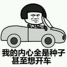 開車表情包