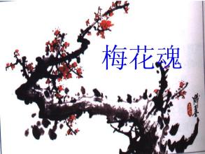 梅花魂P(guān)PT下載_梅花魂P(guān)PT課件