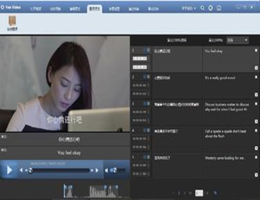 視頻字幕翻譯軟件 V2.0.0.05免費版