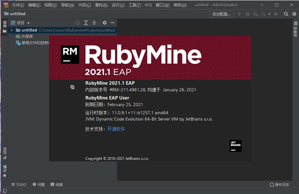 RubyMine編程軟件 V2021.3中文版