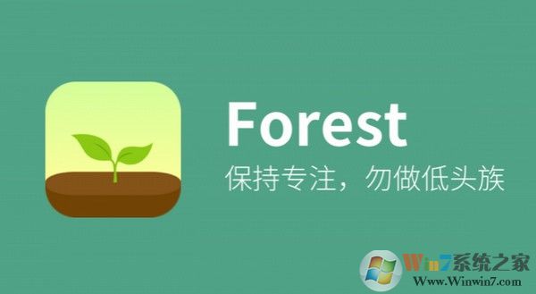 Forest專注森林