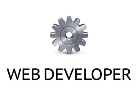 Web Developer(Chrome Web開發(fā)工具插件) V0.5官方版