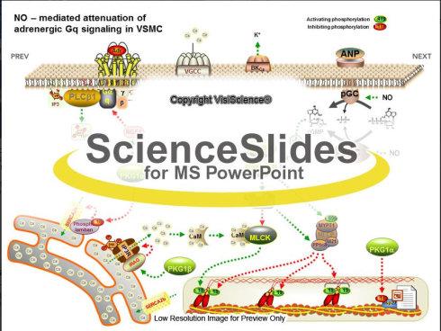 ScienceSlides(PPT制作插件) 2016免費版