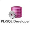 PL/SQL Developer 32/64位(附安裝教程)