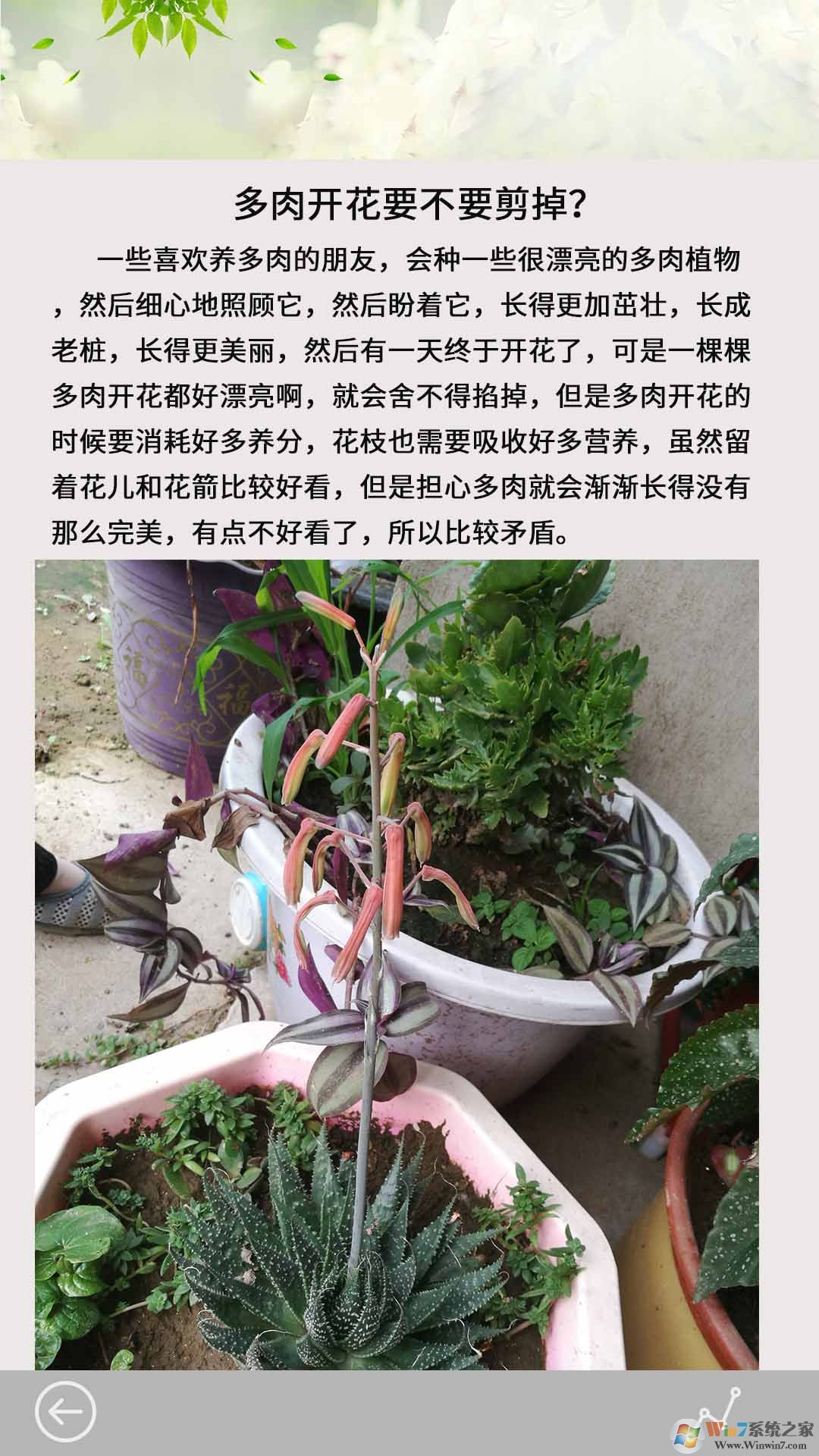 多肉花草日記APP