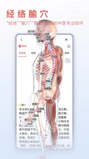 3Dbody解剖APP手機(jī)版