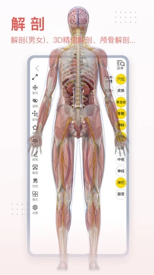 3Dbody解剖APP手機(jī)版