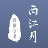 西江月APP最新版