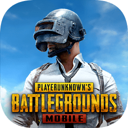 PUBG國(guó)際服手游官方版