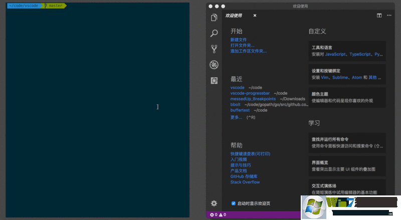 VScode中文版(Visual Studio Code)