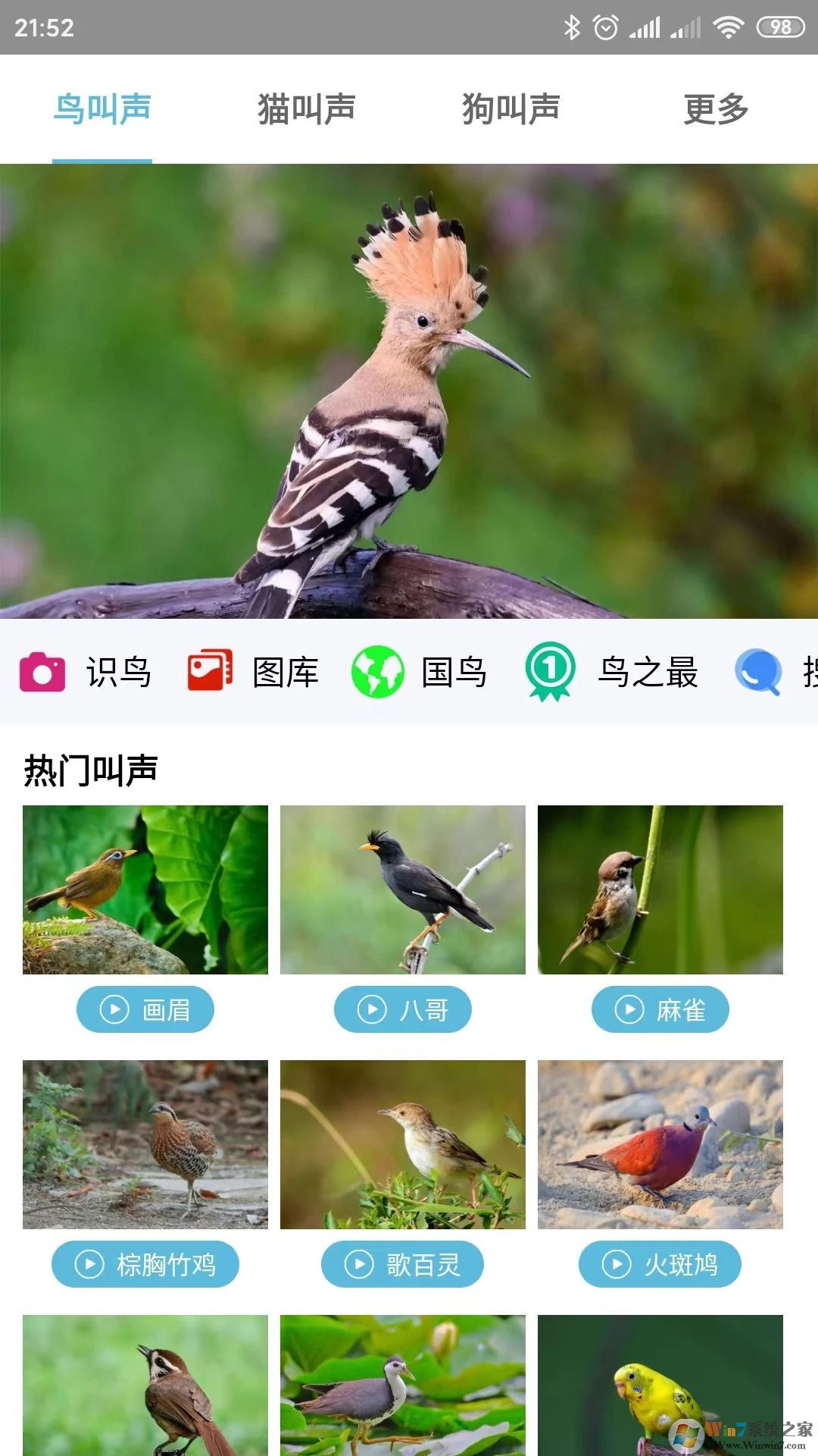 鳥叫聲大全APP