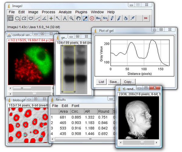 圖像處理軟件imagej V1.8.0官方中文版