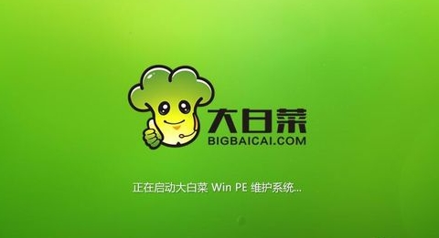 大白菜系統(tǒng)下載_大白菜Win7系統(tǒng)_大白菜Win10系統(tǒng)下載官方版