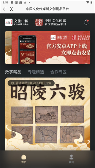 山東省文旅通app