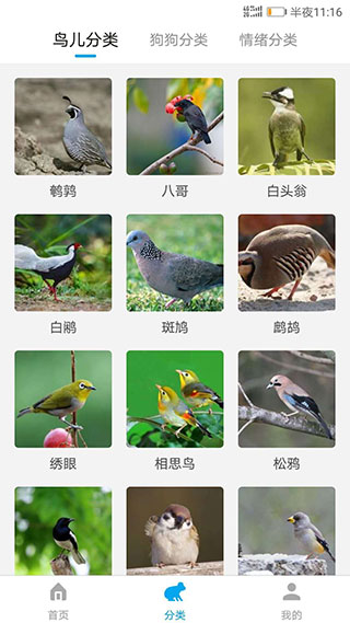 動物翻譯器APP免費版