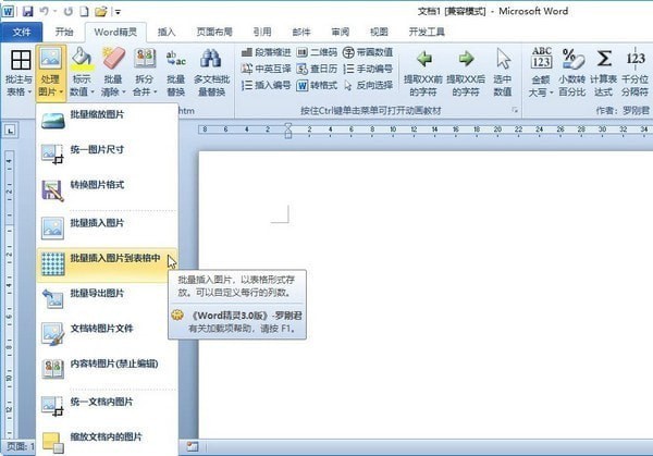 羅剛君Word工具箱 V8.2綠色破解版