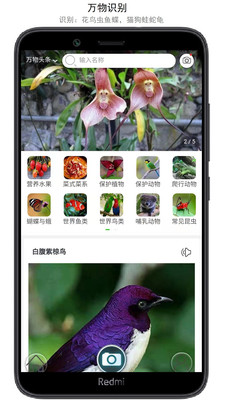 萬物識(shí)別APP免費(fèi)版