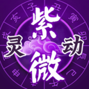 靈動(dòng)紫微APP