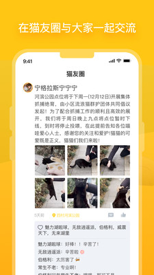 哈啰街貓app2024官方版