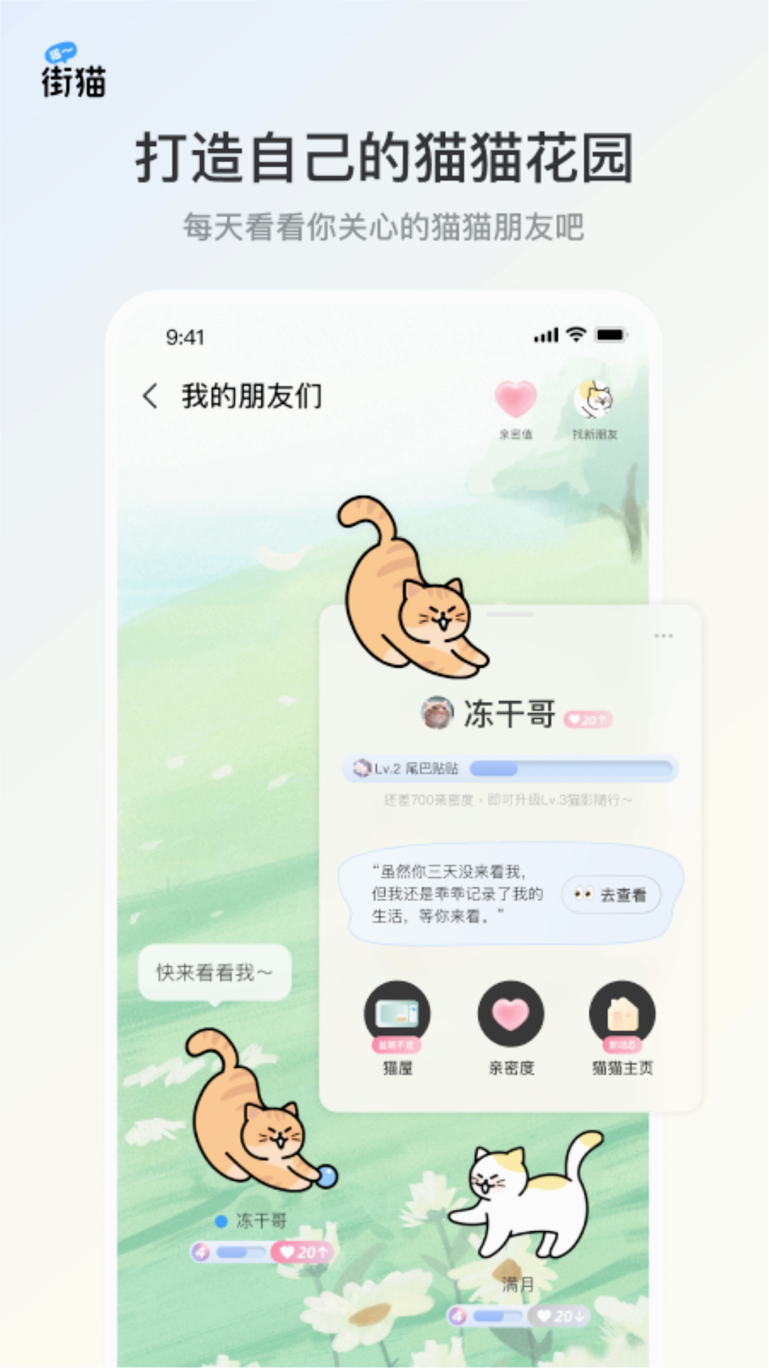 哈啰街貓app2024官方版