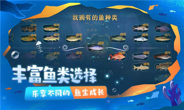 一只魚聯(lián)機