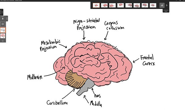 Mental Canvas(3D繪畫(huà)軟件)正式版