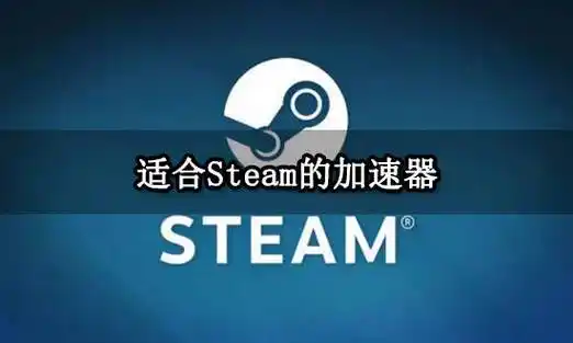 steam加速器永久免費(fèi)版-steam免費(fèi)加速器電腦版